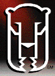 BAIRi logo
