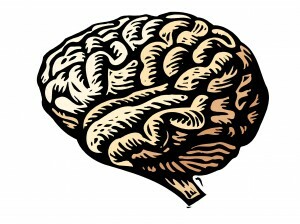 Trauma mõjutab teie aju, kuid PTSD paranemine on tõenäolisem kui kunagi varem. Siit saate teada, kuidas trauma mõjutab aju ja kuidas neuroplastilisus aitab teil taastuda. Loe seda.